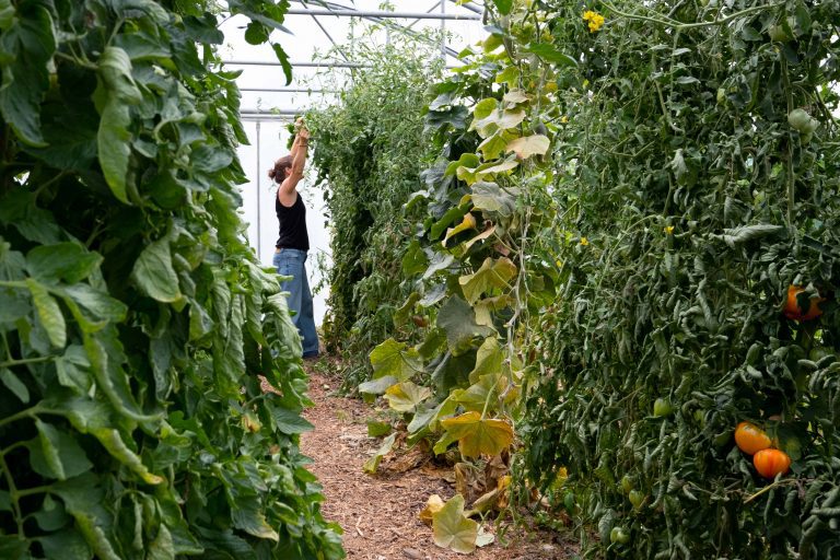 Reportage métier · Agriculture biologique