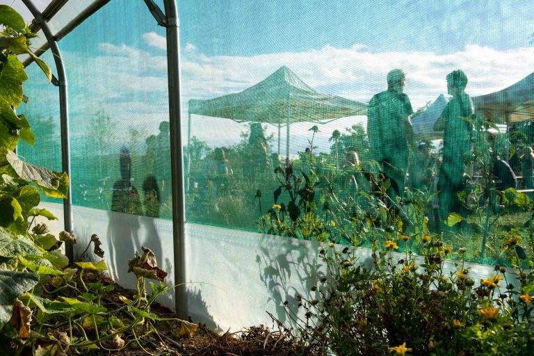 Reportage évènementiel · La Pampa fête ses 3 ans, ferme en agriculture biologique