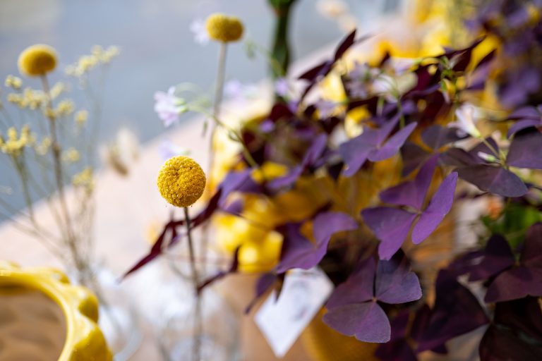Intérieur · Jardin Sauvage, fleuriste