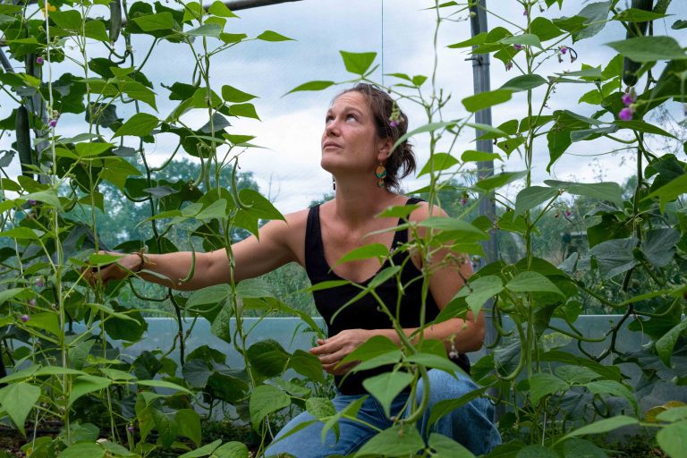 Maraichère dans une serre, cueillant des haricots verts