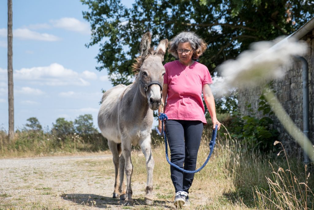 Reportage métier · Liens famili'ânes. Isabelle Housset, intervenante en médiation par l'animal avec ses ânes, éduquant un de ses ânes.