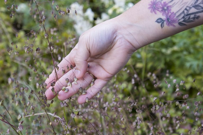 Gabrielle Brunet, paysagiste en éco-jardin, en pépinière