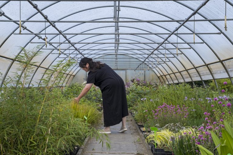 Gabrielle Brunet, paysagiste en éco-jardin, en pépinière