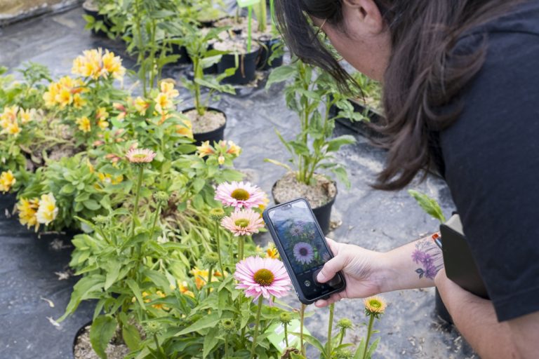 Gabrielle Brunet, paysagiste en éco-jardin, en pépinière