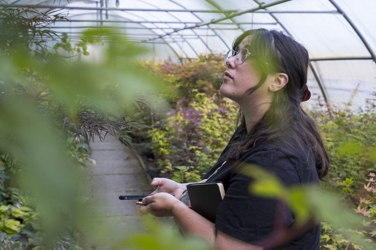 Gabrielle Brunet, paysagiste en éco-jardin, en pépinière